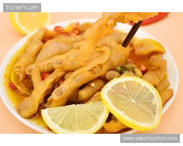 乐竞体育app官方下载指南，详细步骤帮助用户快速下载安装并畅享体育娱乐