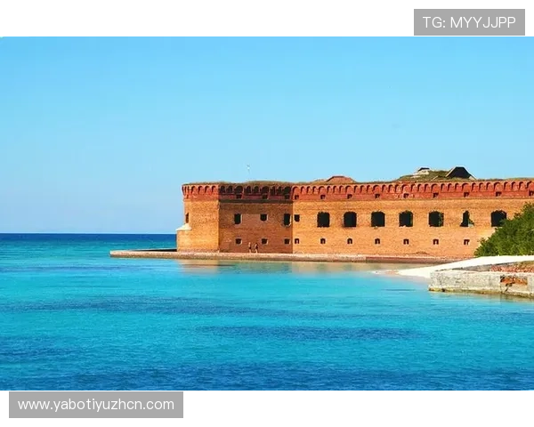 半岛官方手机版全面介绍与最新版本更新内容解析